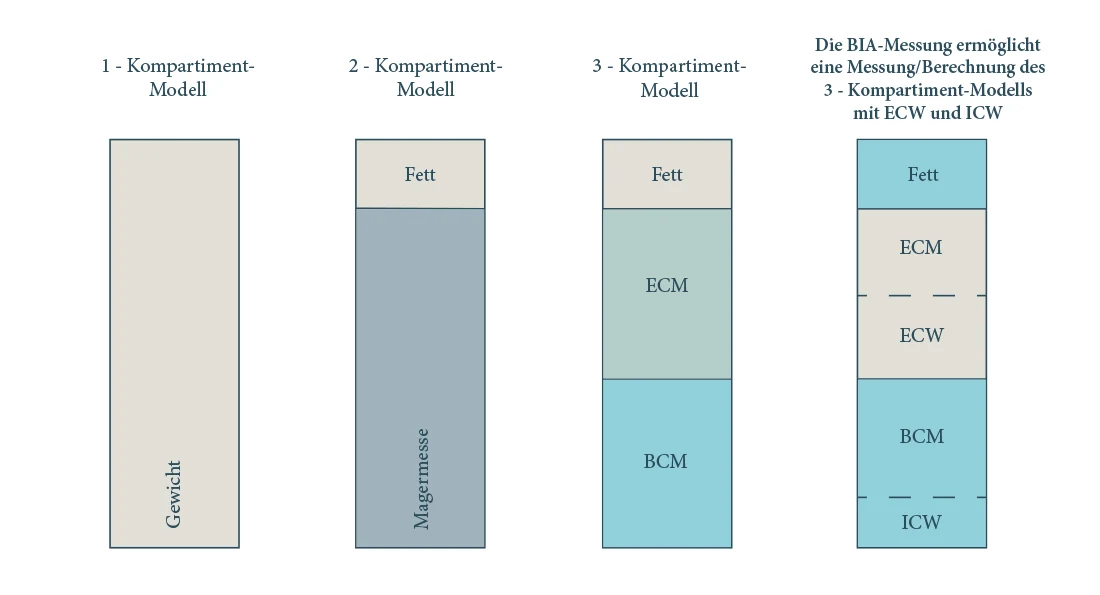 Kompartiment Modell